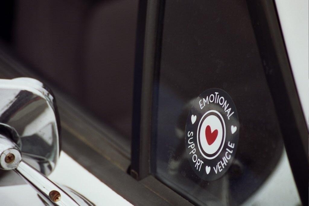 Emotional Support Vehicle - Image 5