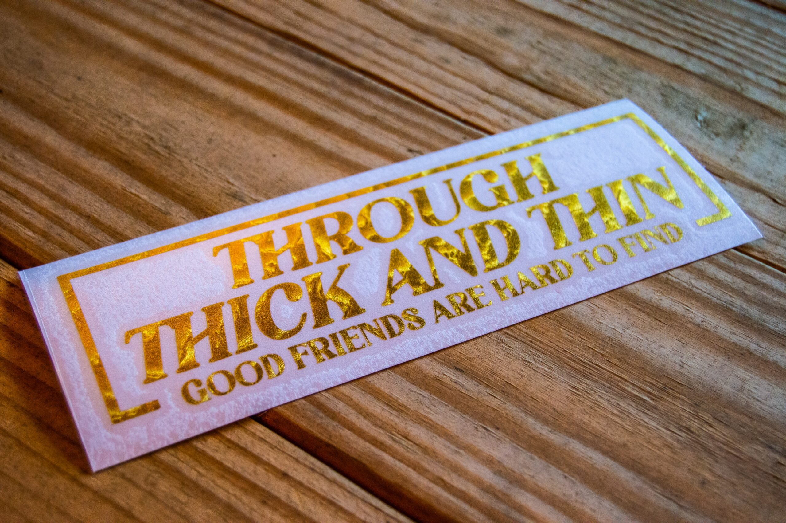 Thick and Thin - Image 4