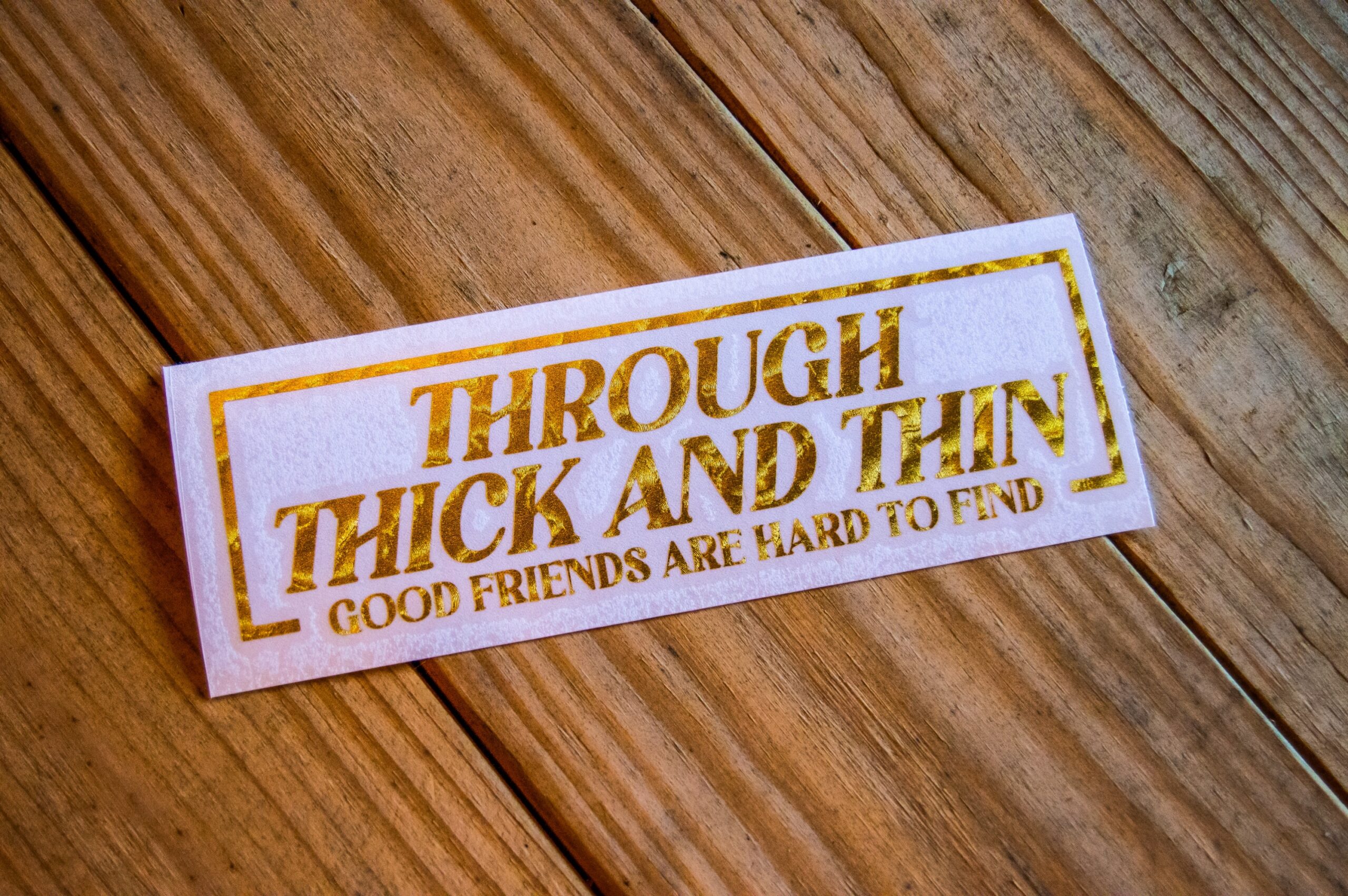 Thick and Thin - Image 3