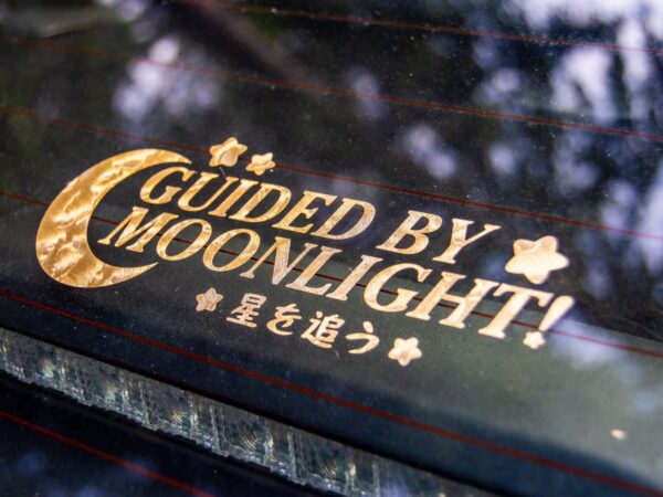 Guided By Moonlight