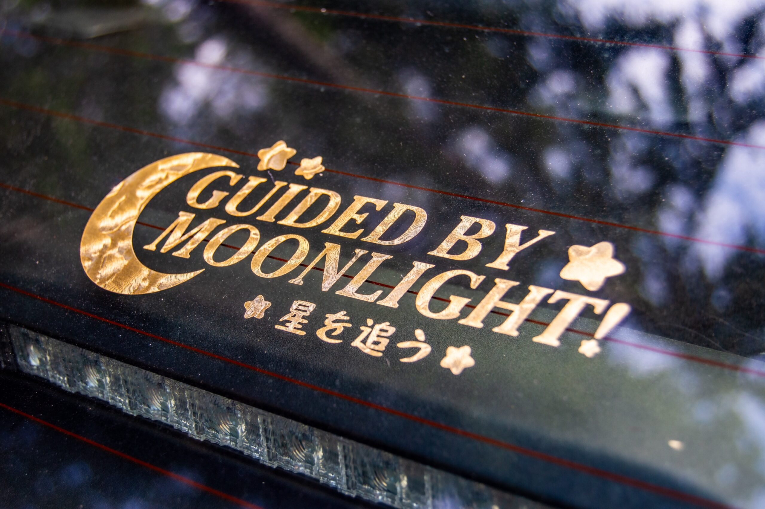Guided By Moonlight
