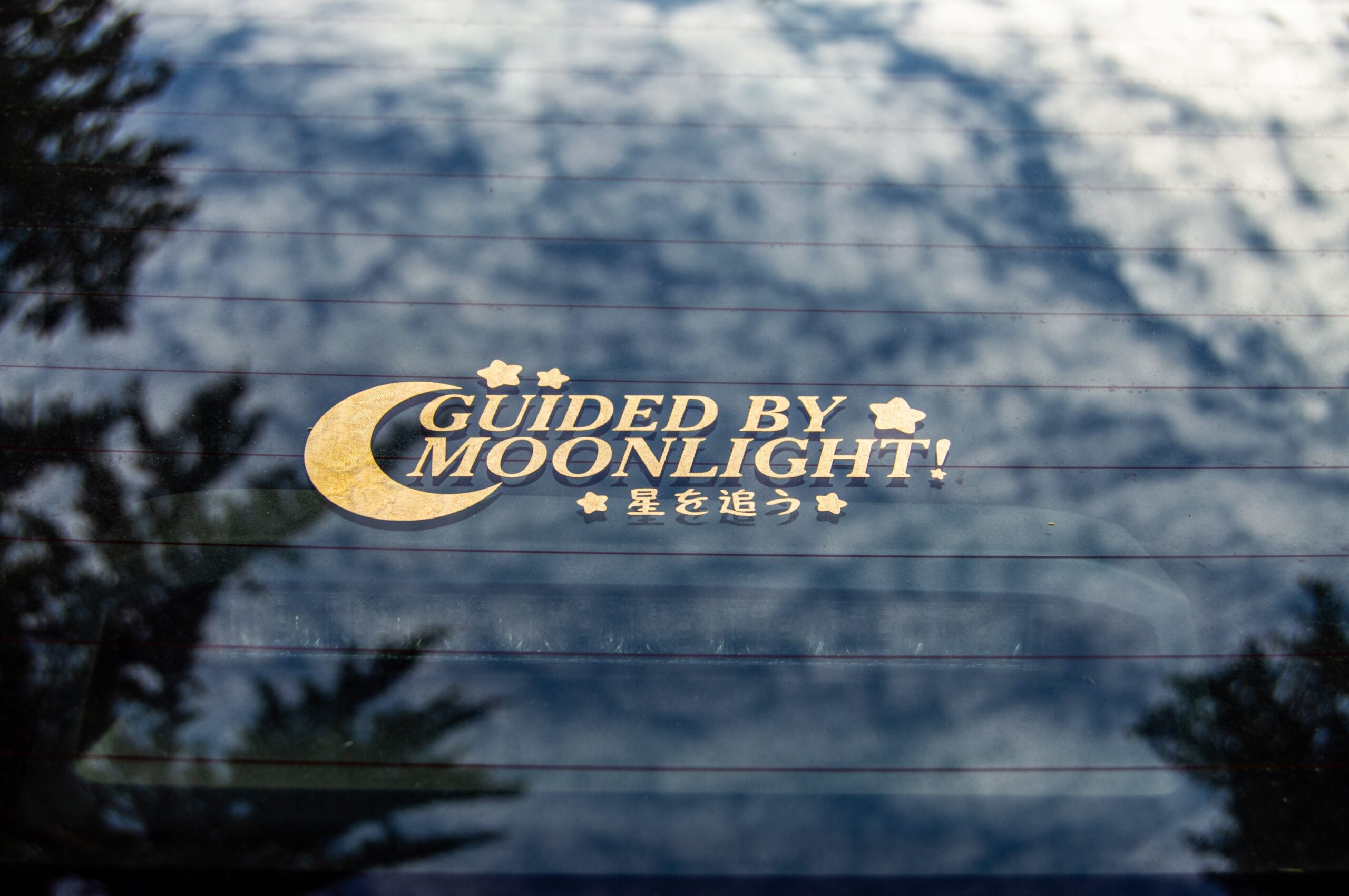 Guided By Moonlight - Image 2