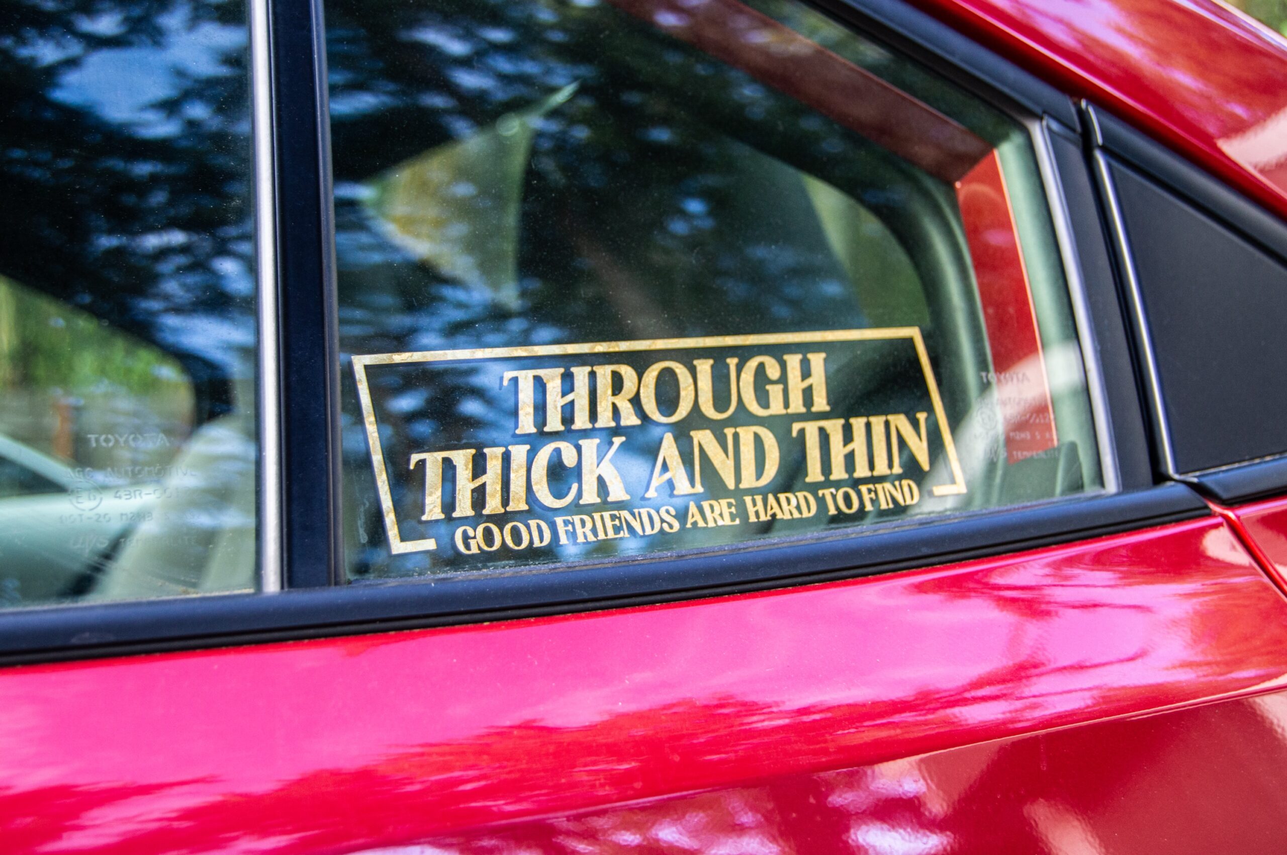 Thick and Thin