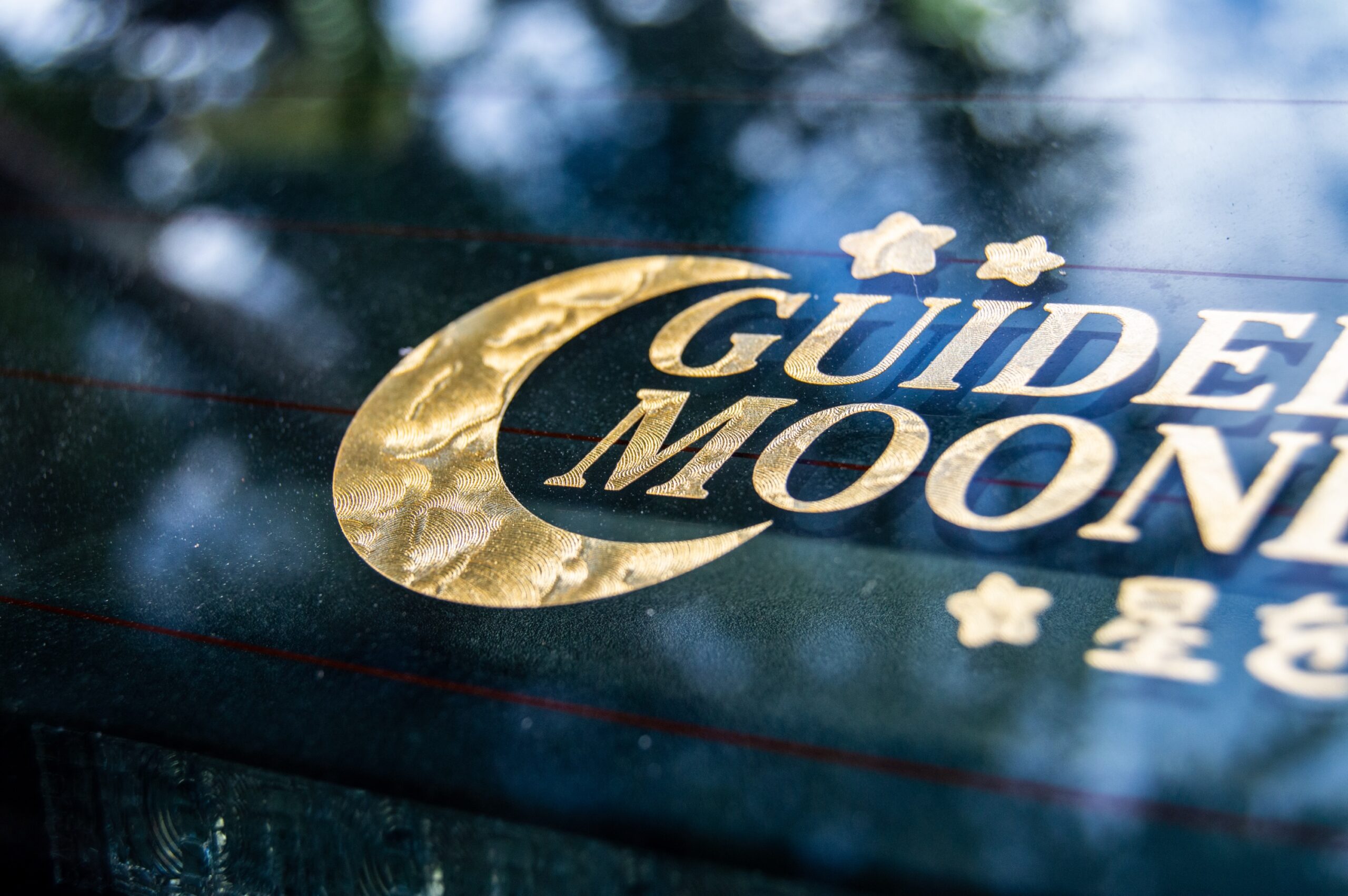 Guided By Moonlight - Image 3