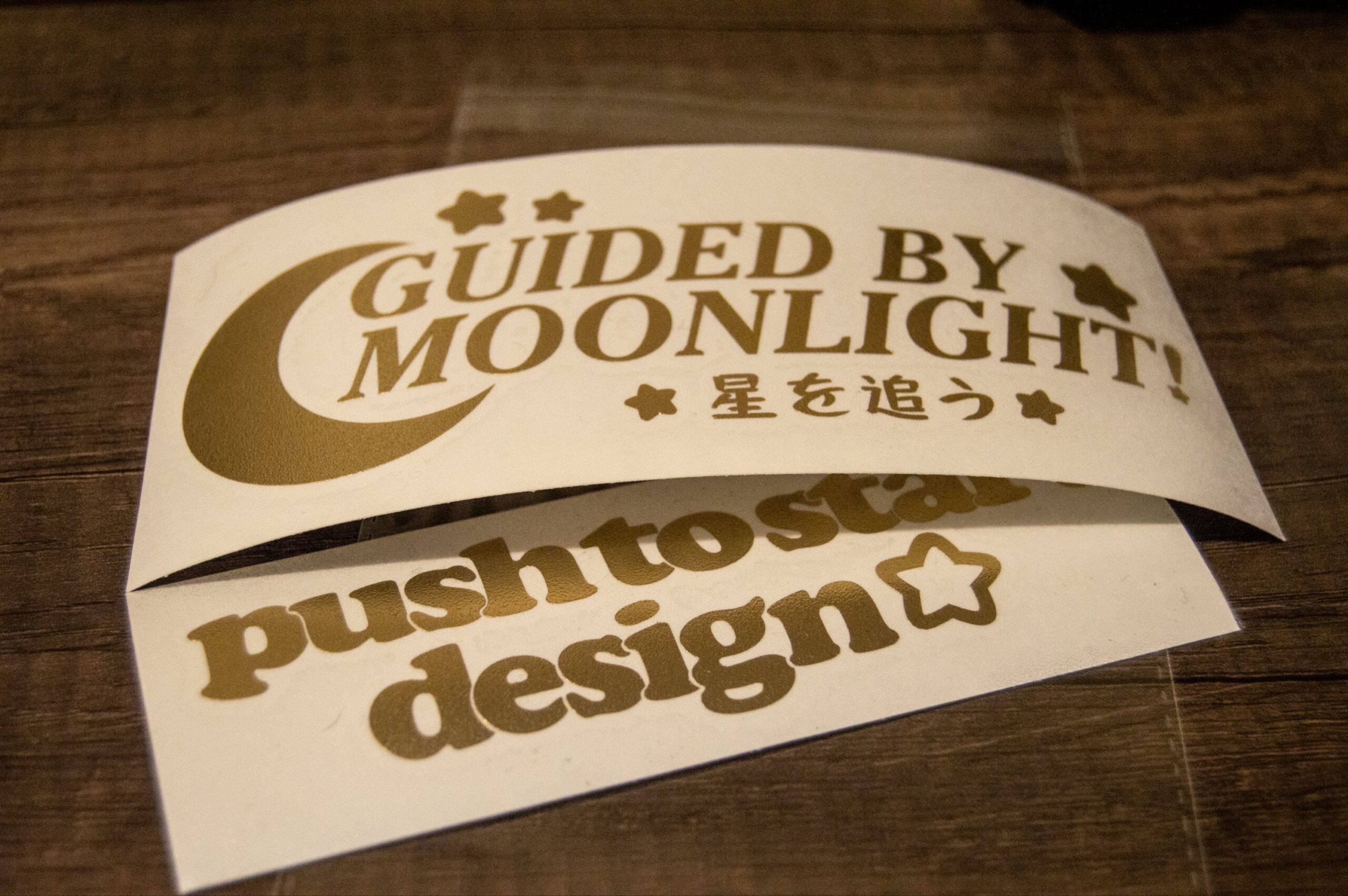 Guided By Moonlight - Image 6