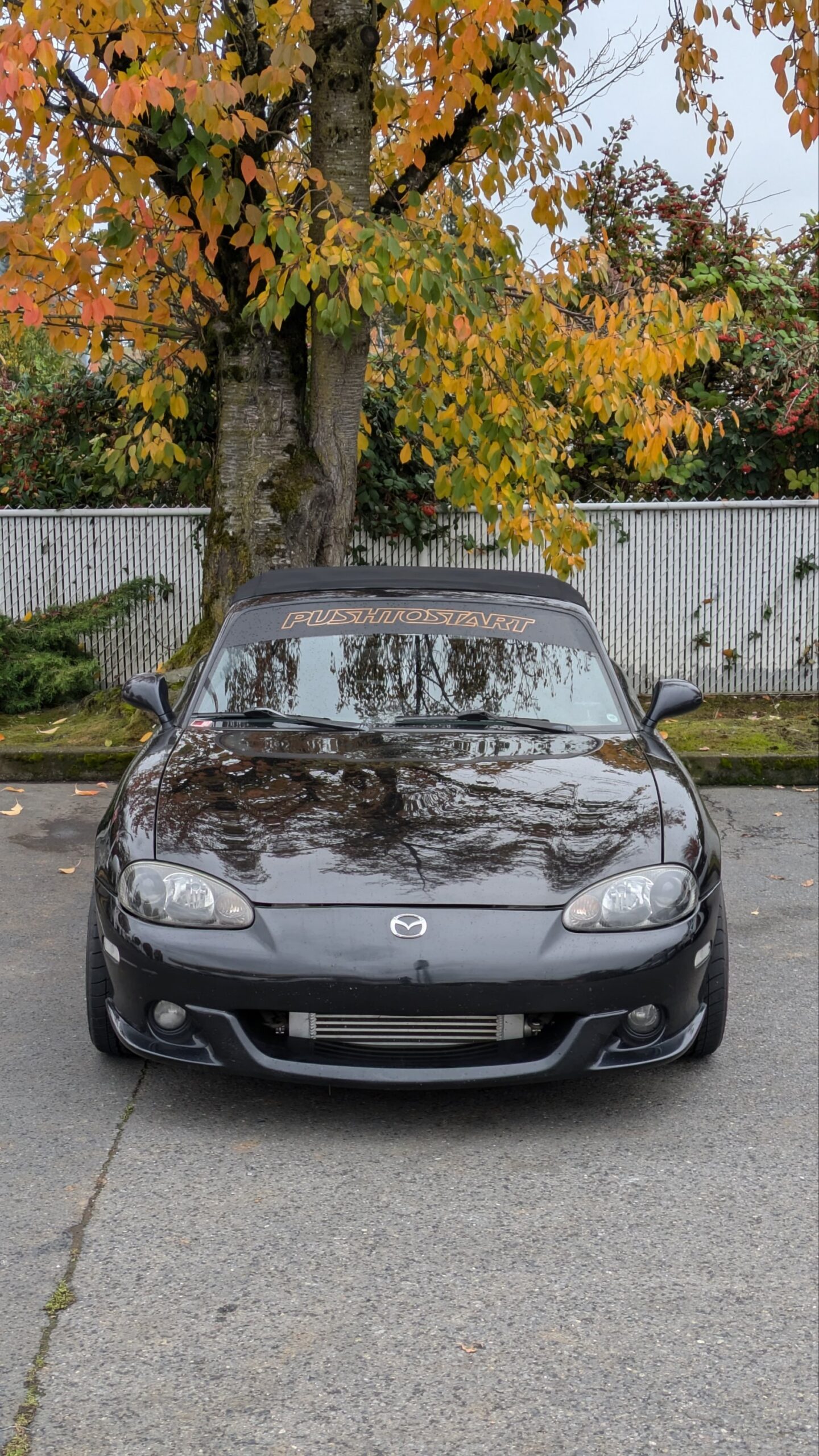 Pushtospeed - Image 2