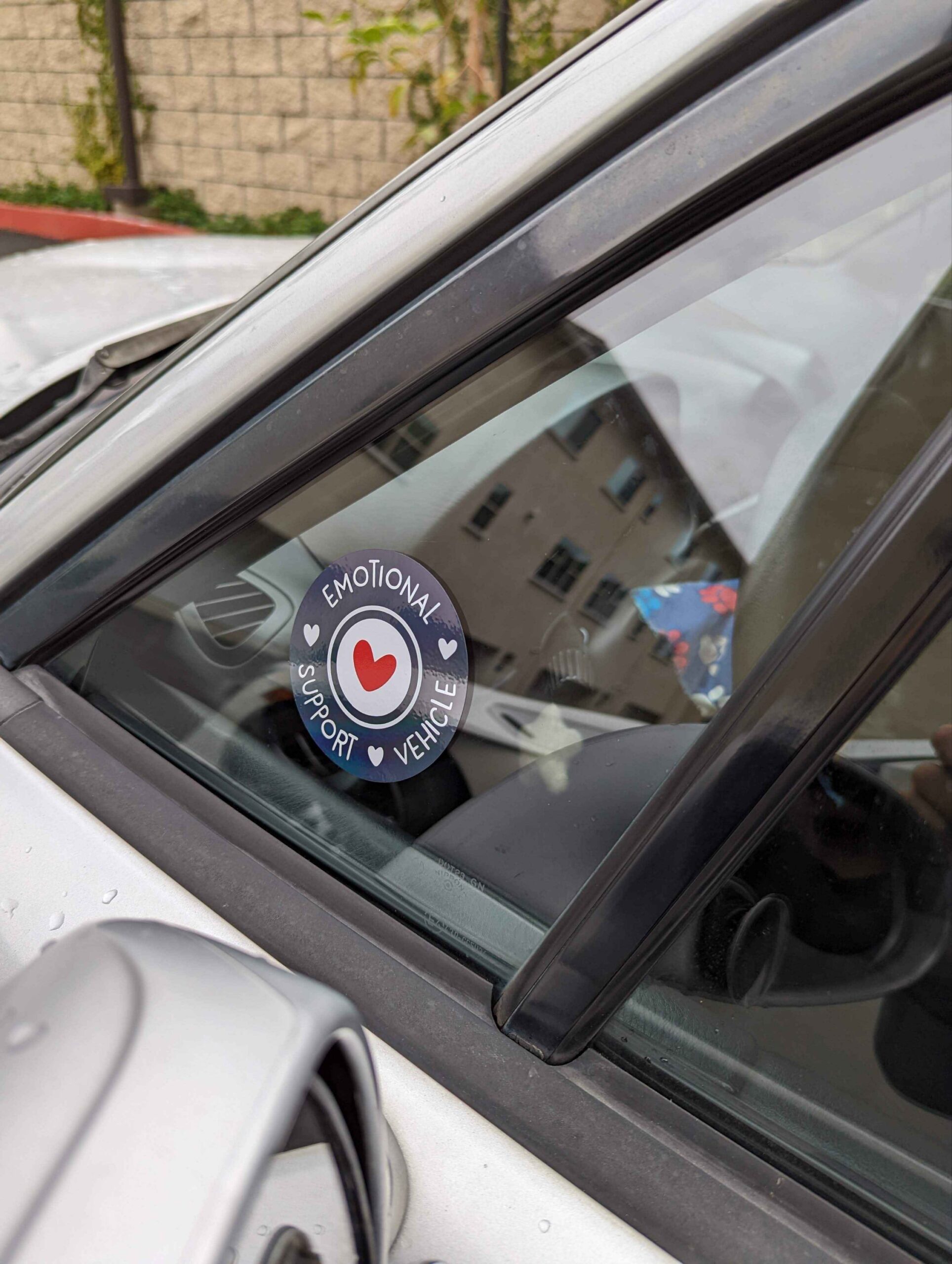Emotional Support Vehicle - Image 7