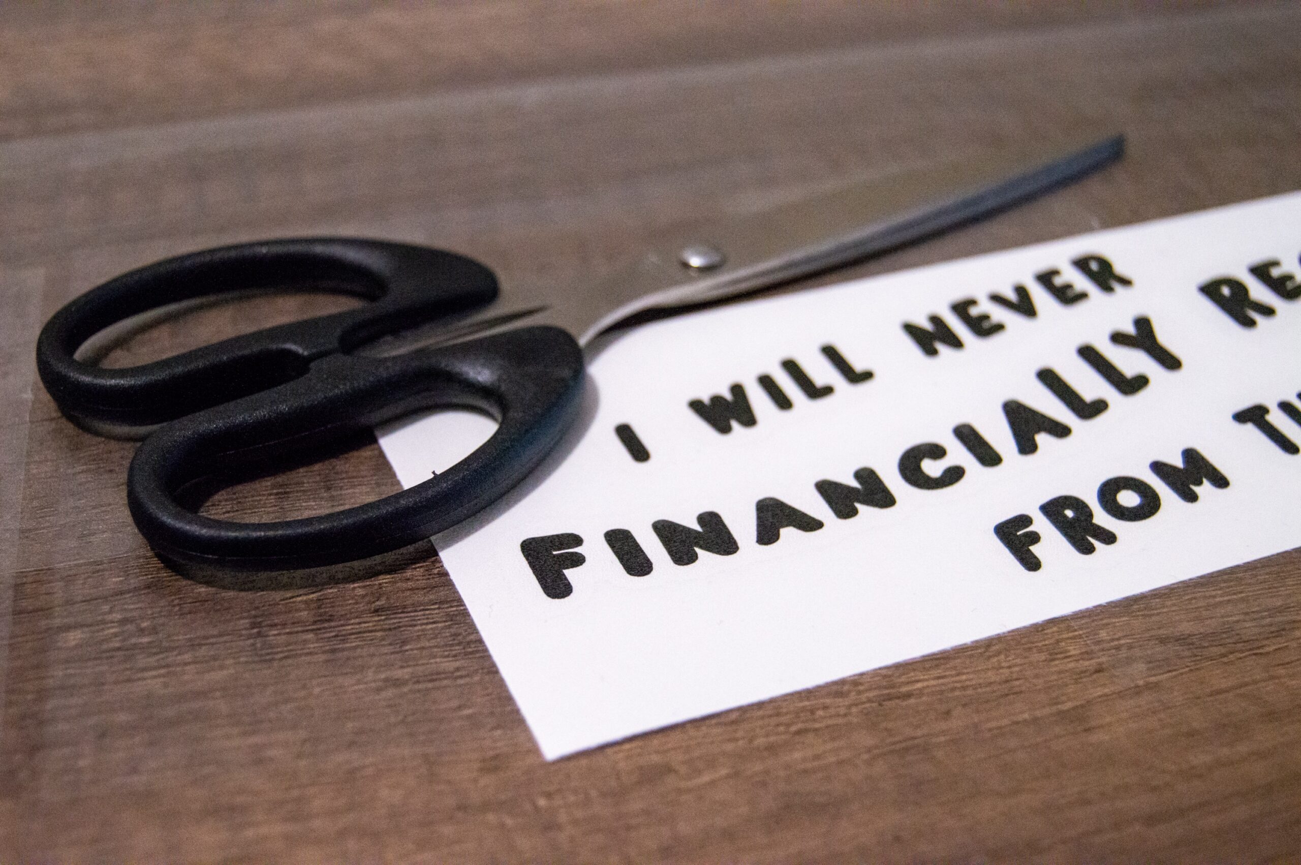Never Financially Recover - Image 2