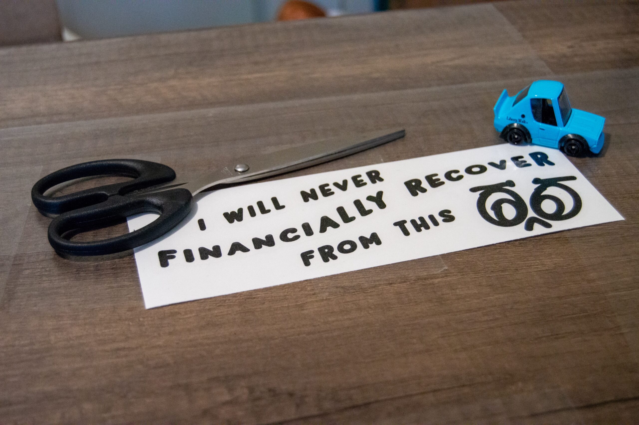 Never Financially Recover - Image 3