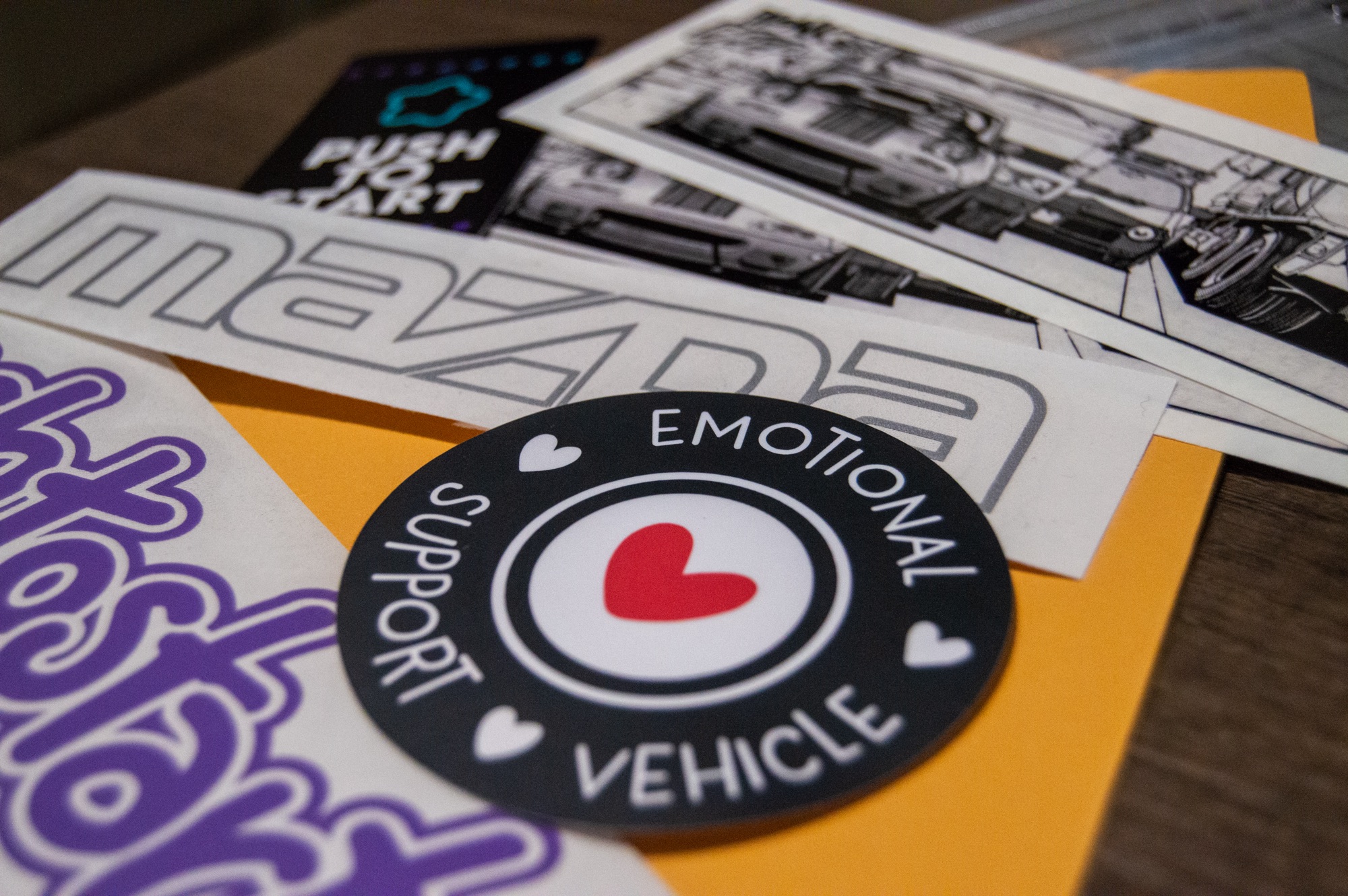 Emotional Support Vehicle