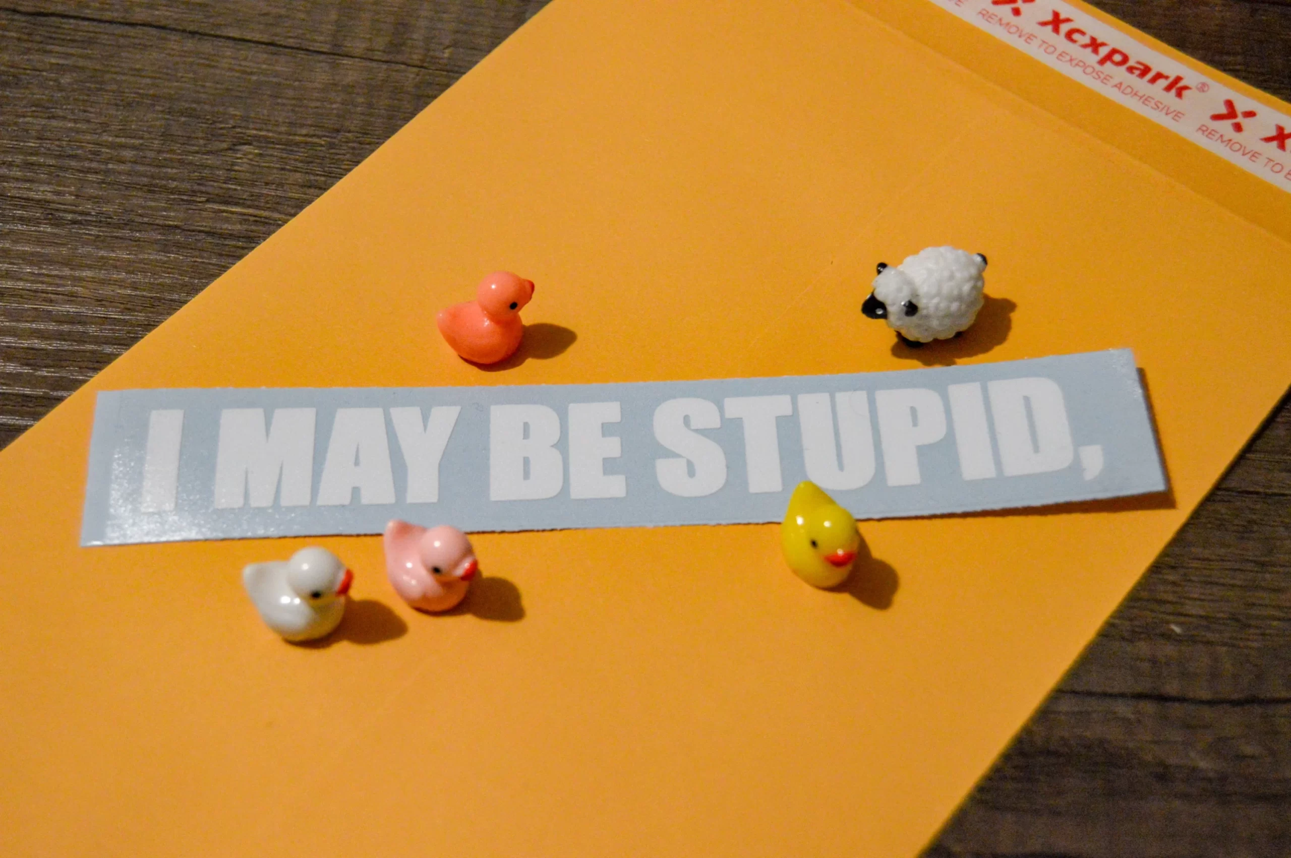 i may be stupid, - Image 2