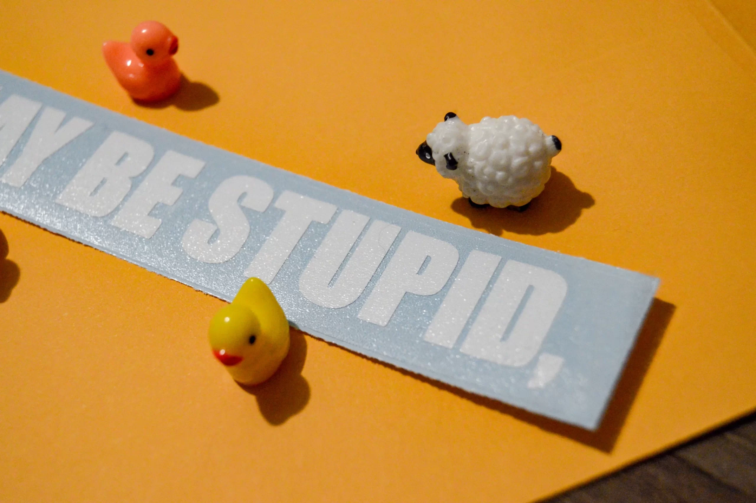 i may be stupid, - Image 4