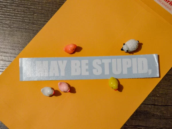 i may be stupid,
