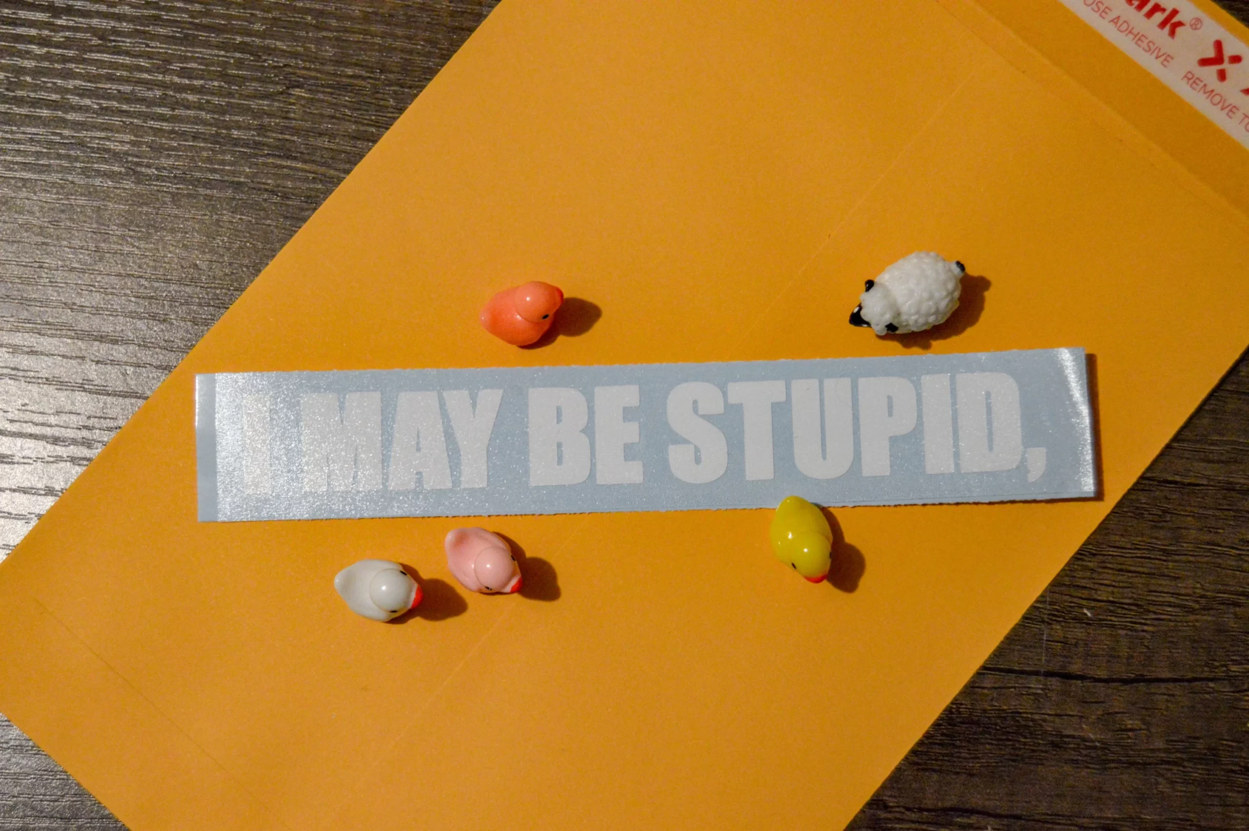 i may be stupid,