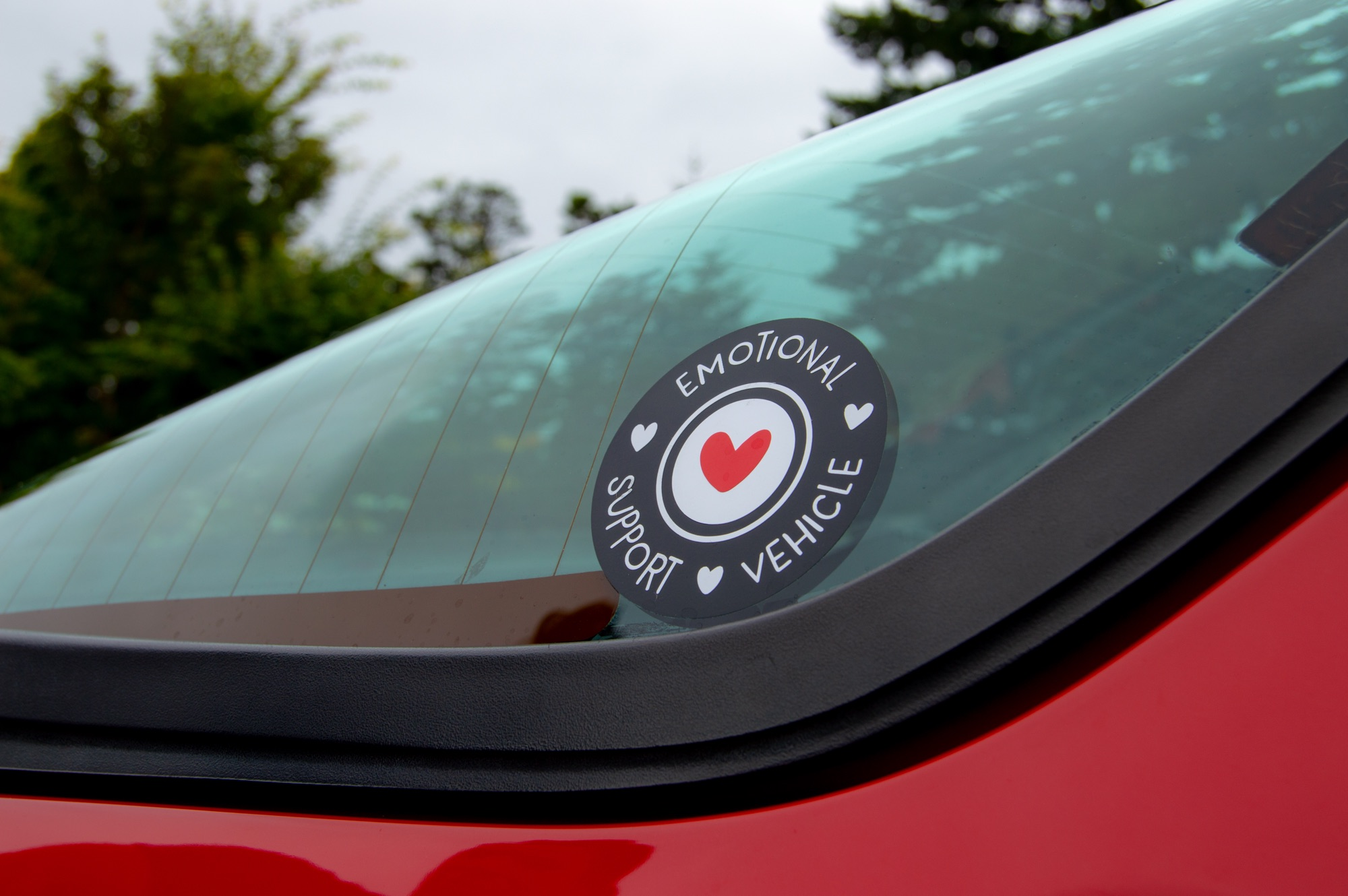 Emotional Support Vehicle - Image 9