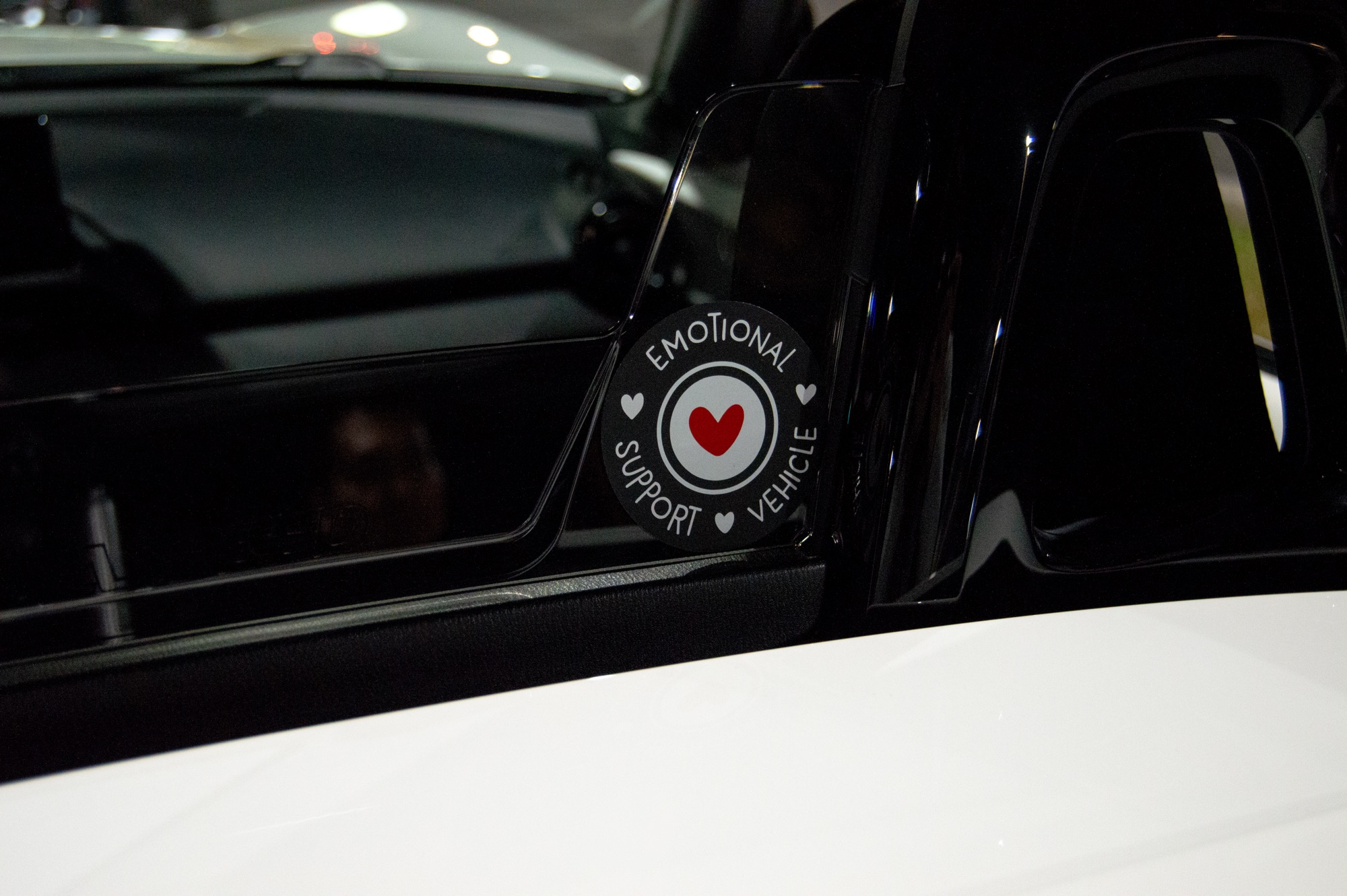Emotional Support Vehicle - Image 11