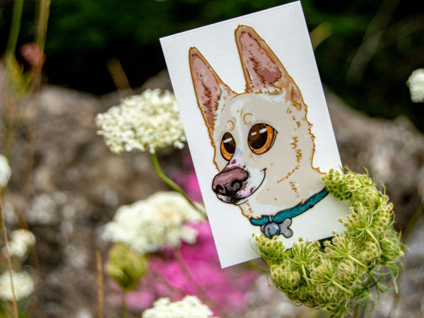 Sami's Headshot