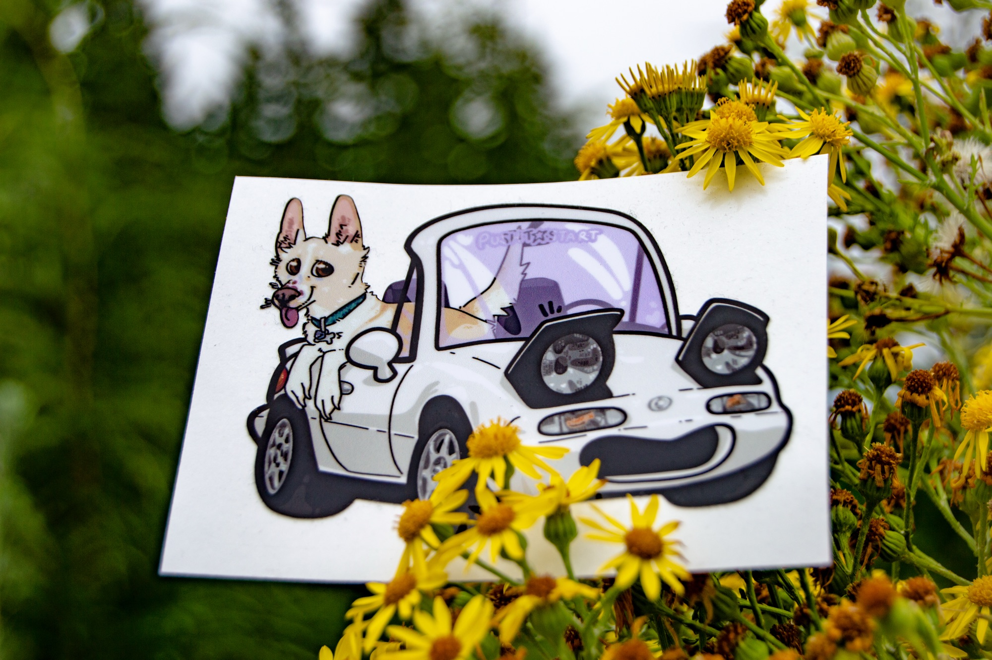 Chibi Sami & Caspy - Image 3
